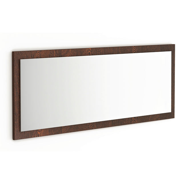 Full-Length Vanity Mirror (60 inches x 20 inches)
